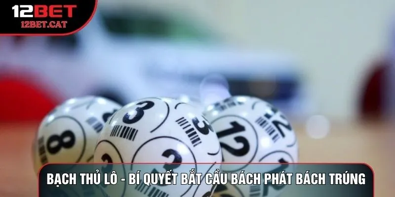 Bạch Thủ Lô