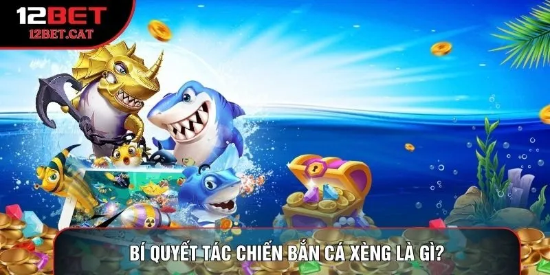 Bí quyết tác chiến bắn cá xèng là gì?