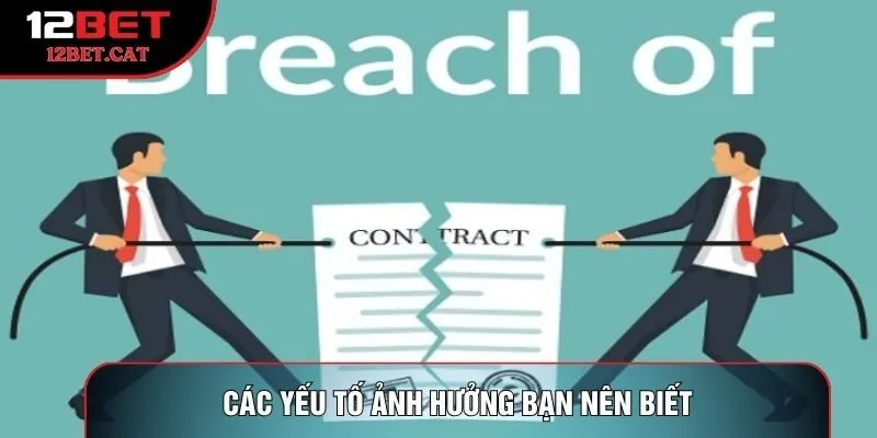 Các yếu tố ảnh hưởng bạn nên biết