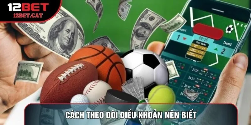 Cách theo dõi điều khoản nên biết