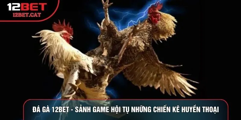 Đá gà 12bet