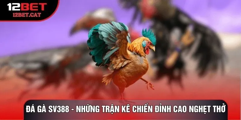 Đá Gà Sv388