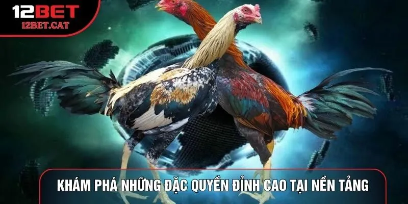 Khám phá những đặc quyền đỉnh cao tại nền tảng