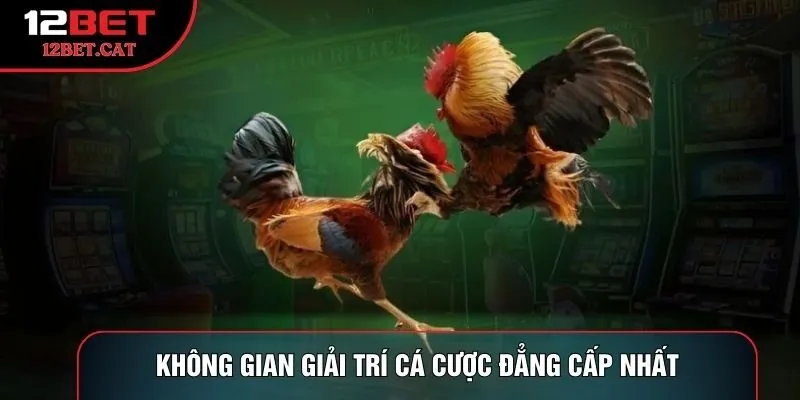Không gian giải trí cá cược đẳng cấp nhất