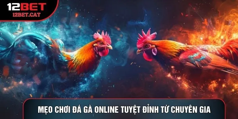 Mẹo chơi đá gà online tuyệt đỉnh từ chuyên gia