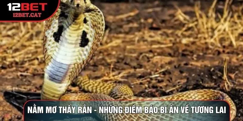 Nằm mơ thấy rắn