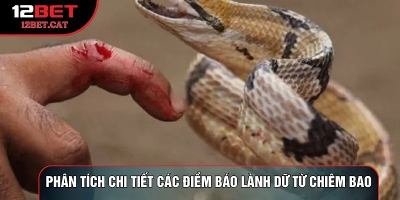 Phân tích chi tiết các điềm báo lành dữ từ chiêm bao