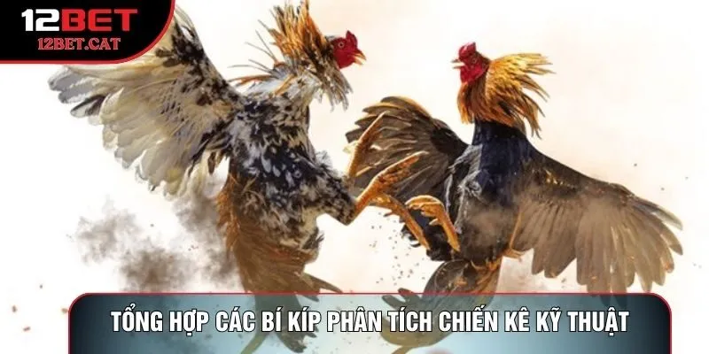 Tổng hợp các bí kíp phân tích chiến kê kỹ thuật