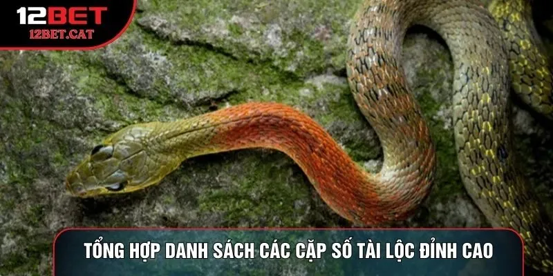 Tổng hợp danh sách các cặp số tài lộc đỉnh cao